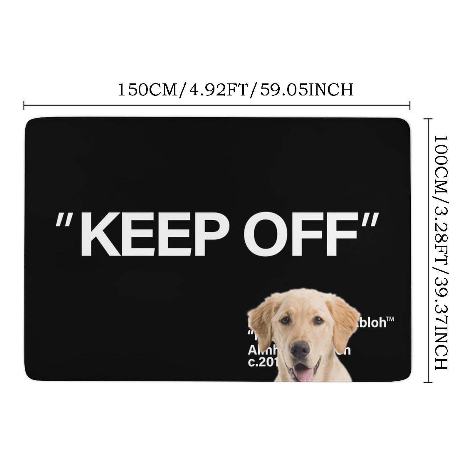 Keep Off Rug Modern Floor Mat|Cozy Home Decor Carpet|Non-Slip Area Rug for Li…