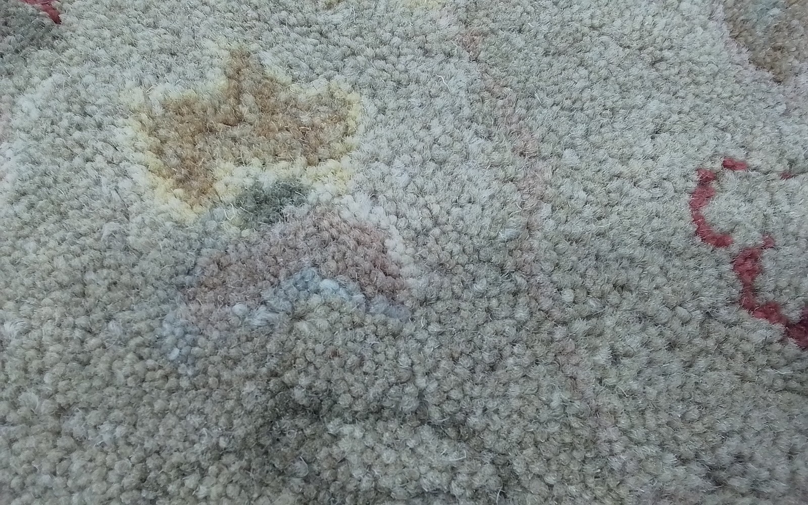 TAUPE / BEIGE 8′-3″ x 11′-0″ Cut on Rug, Reduced Price 3172810378 AT859B-9