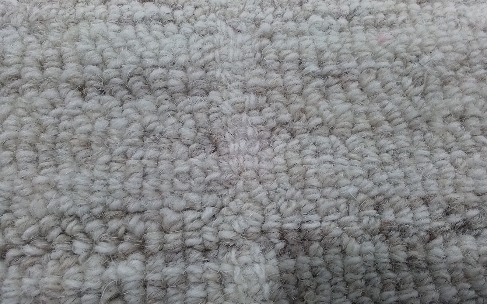 IVORY / BEIGE 9′-0″ x 9′-0″ Cut on Rug, Reduced Price 3172810472 EBN139A-9SQ