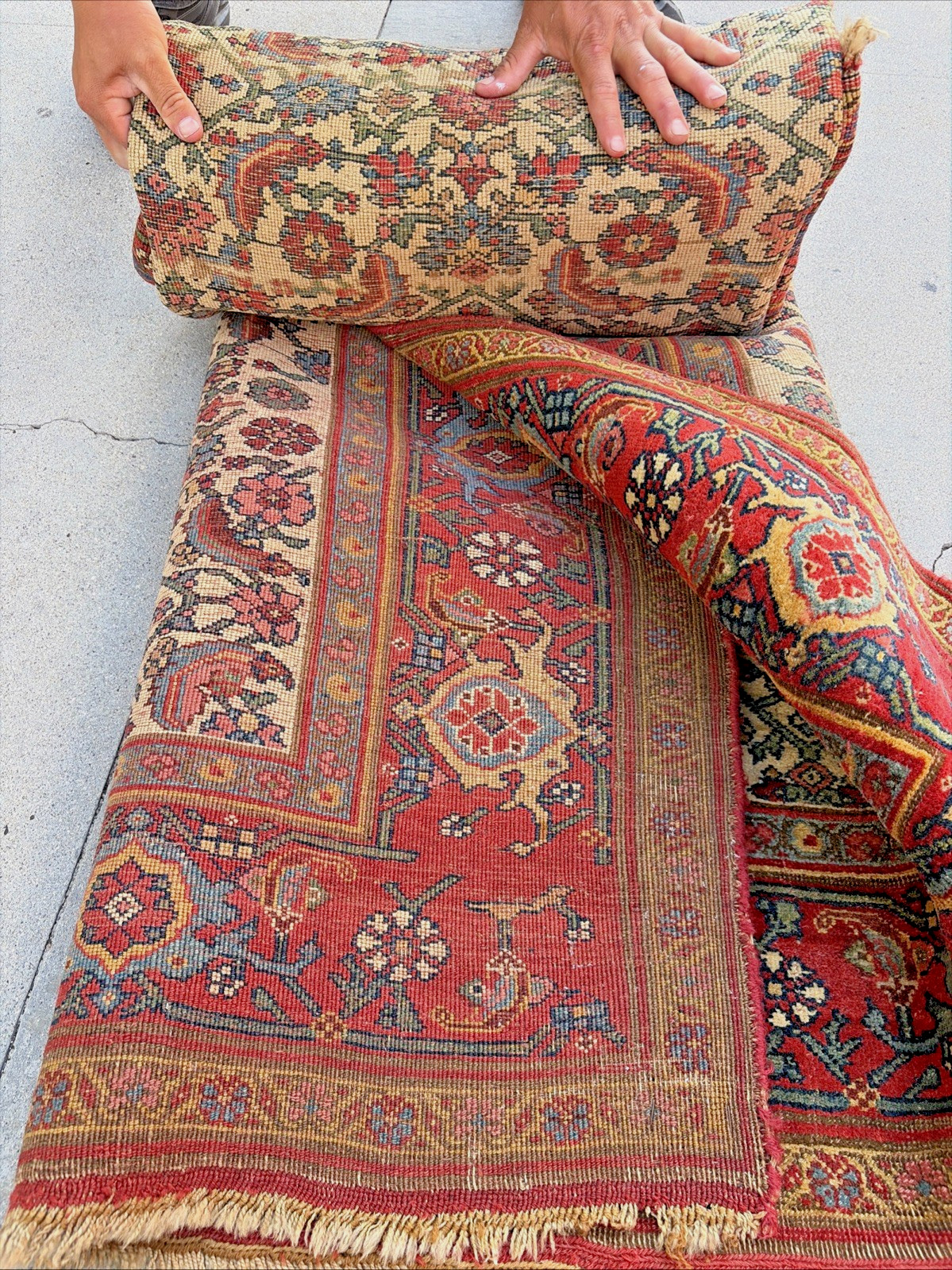 Auth: 19th C Bidjar Rug Kurdish Wool Collectors Mystical Art Beauty 4×7