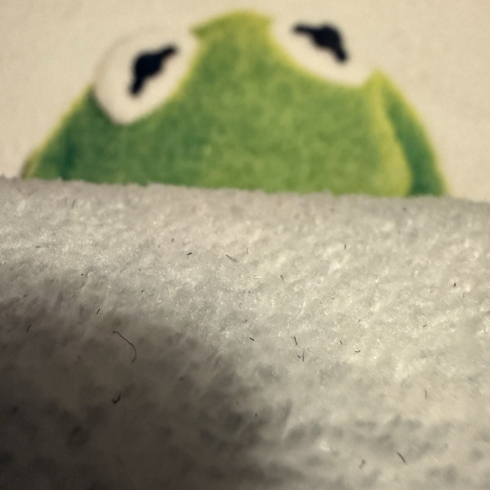 Kermit Frog Supreme Style Fuzzy Tufted Rug 32×19 Room Decor Free Shipping