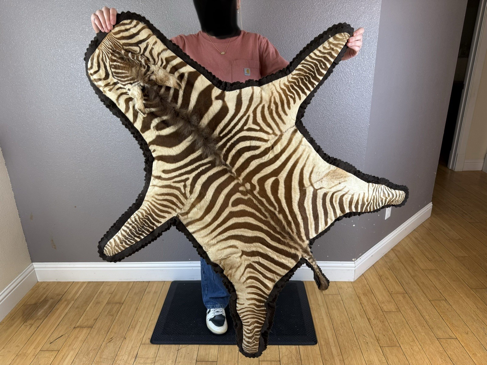 REAL Sub Adult Baby Zebra Rug Hide Taxidermy Young Foal Skin Felt RARE Must See
