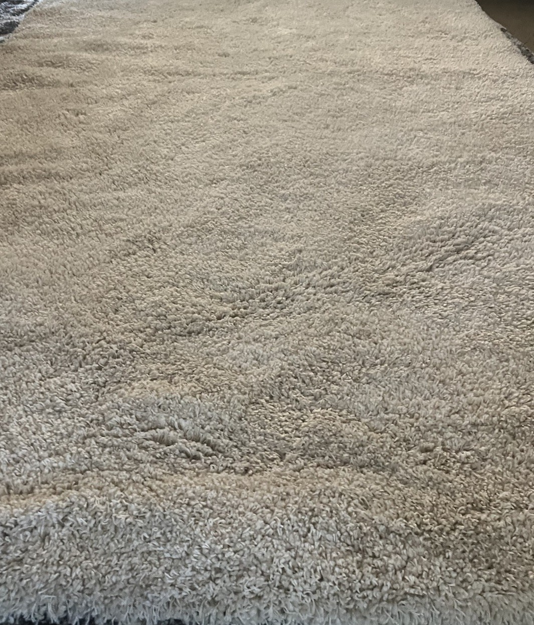 Thomasville Marketplace Luxury Shag Rug Cream Solid 6’6″ x 9’6″ Area Rug