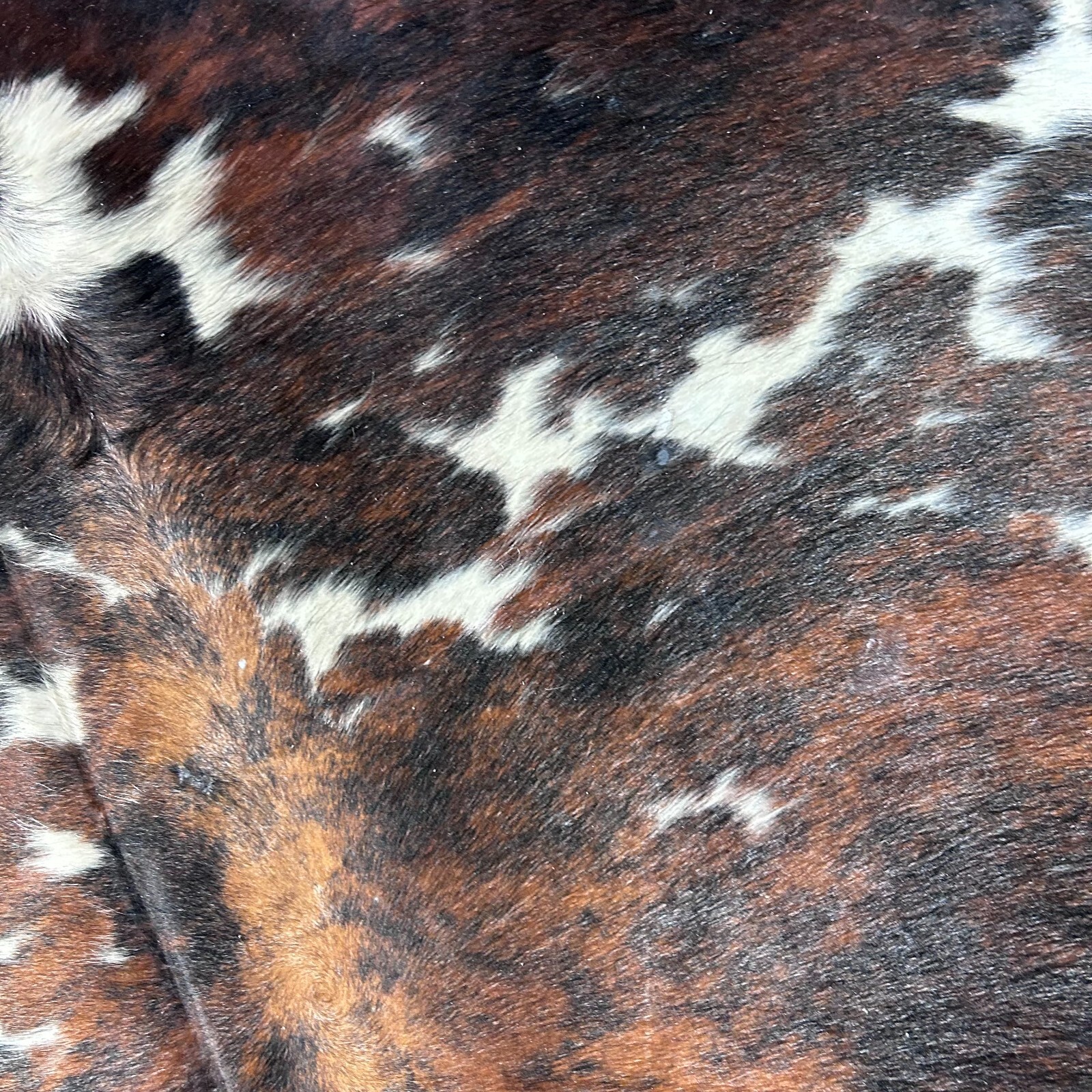 Tricolor Cowhide Rug Size: 7.5×6 feet D-728