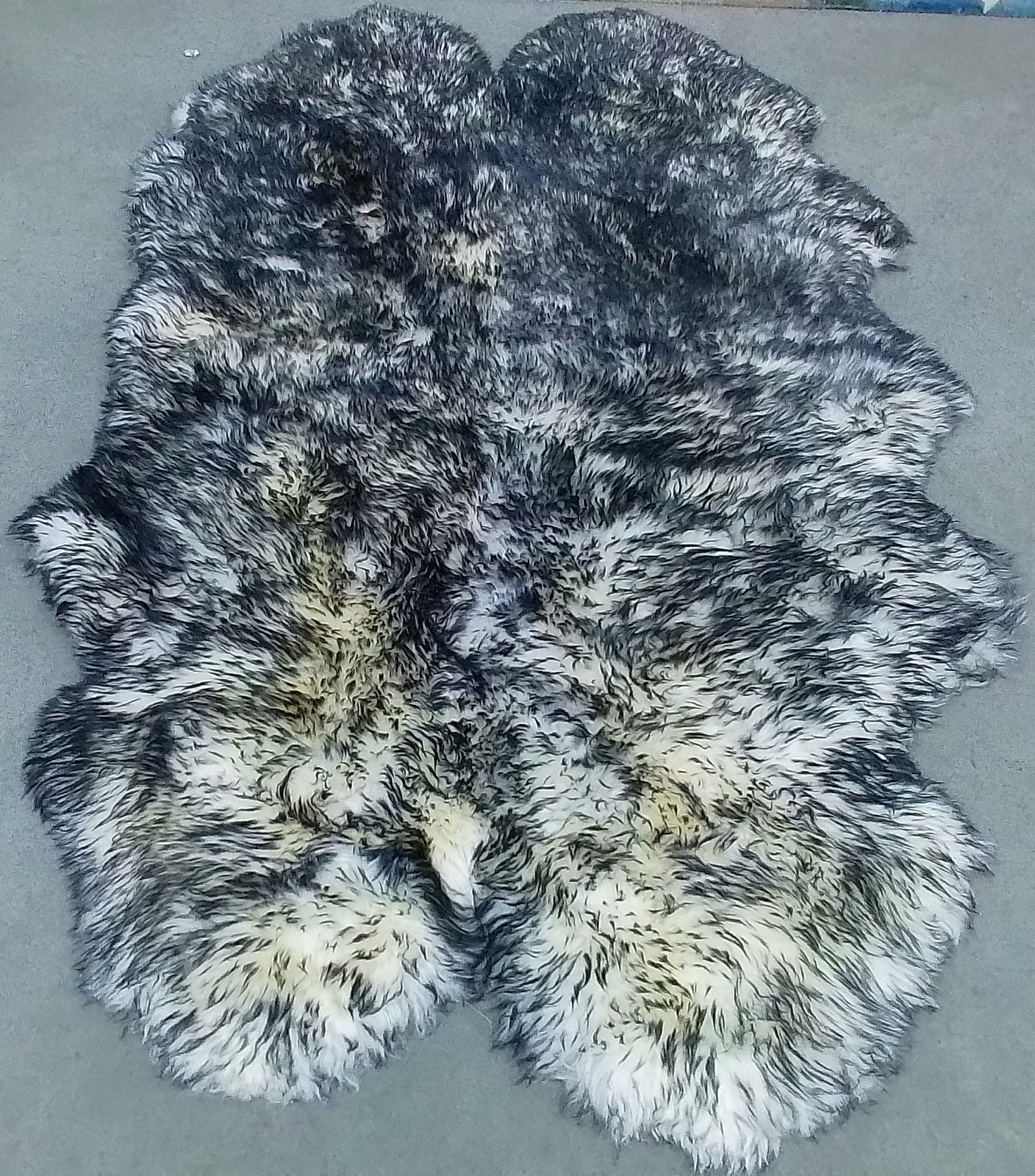 IVORY / SMOKE GREY 3′-7″ x 6′-0″ Flaw in Rug, Reduced Price 1172804621 SHS121E-4