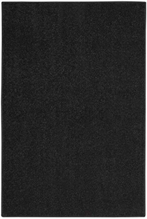 Home Essentials Black 2′ x 4′ Area Rug – Easy Clean, Non Shedding, Bed Room,
