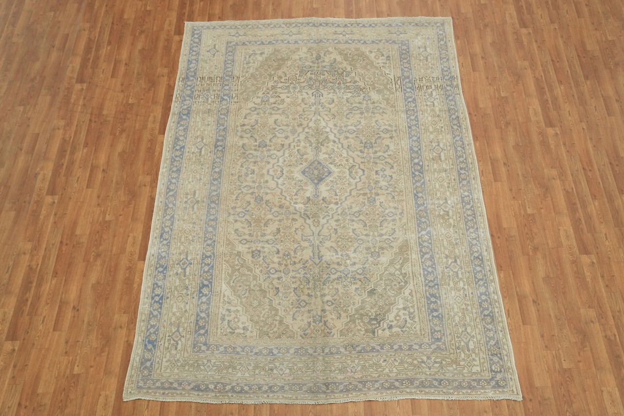 Hand-Knotted Wool Area Rug 7×10 Traditional Medallion Distressed Beige & Blues