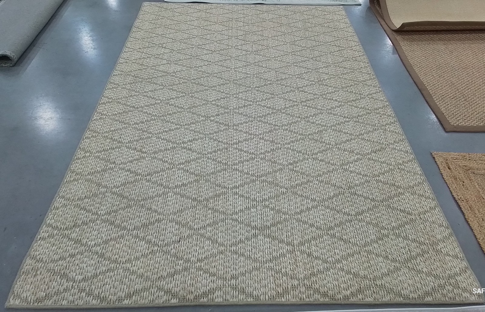 BEIGE / BEIGE 6′-0″ x 9′-0″ Back Stain Rug, Reduced Price 1172799842 PAB361A-6