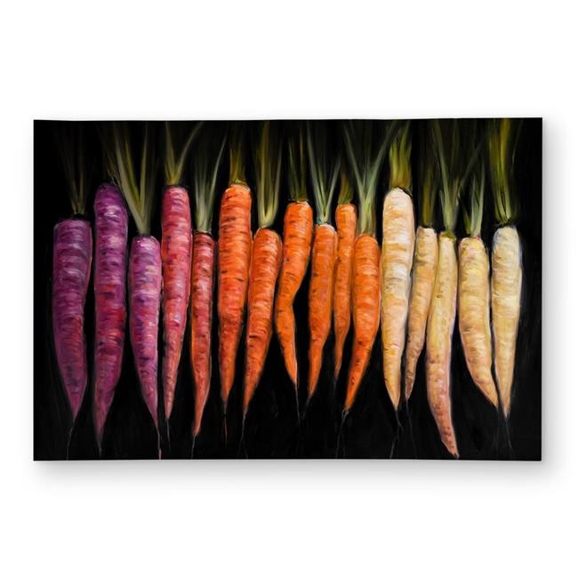 2×3 ft. Colorful Carrots Outdoor Area Rug – Food Black Home Decor – Rectangle