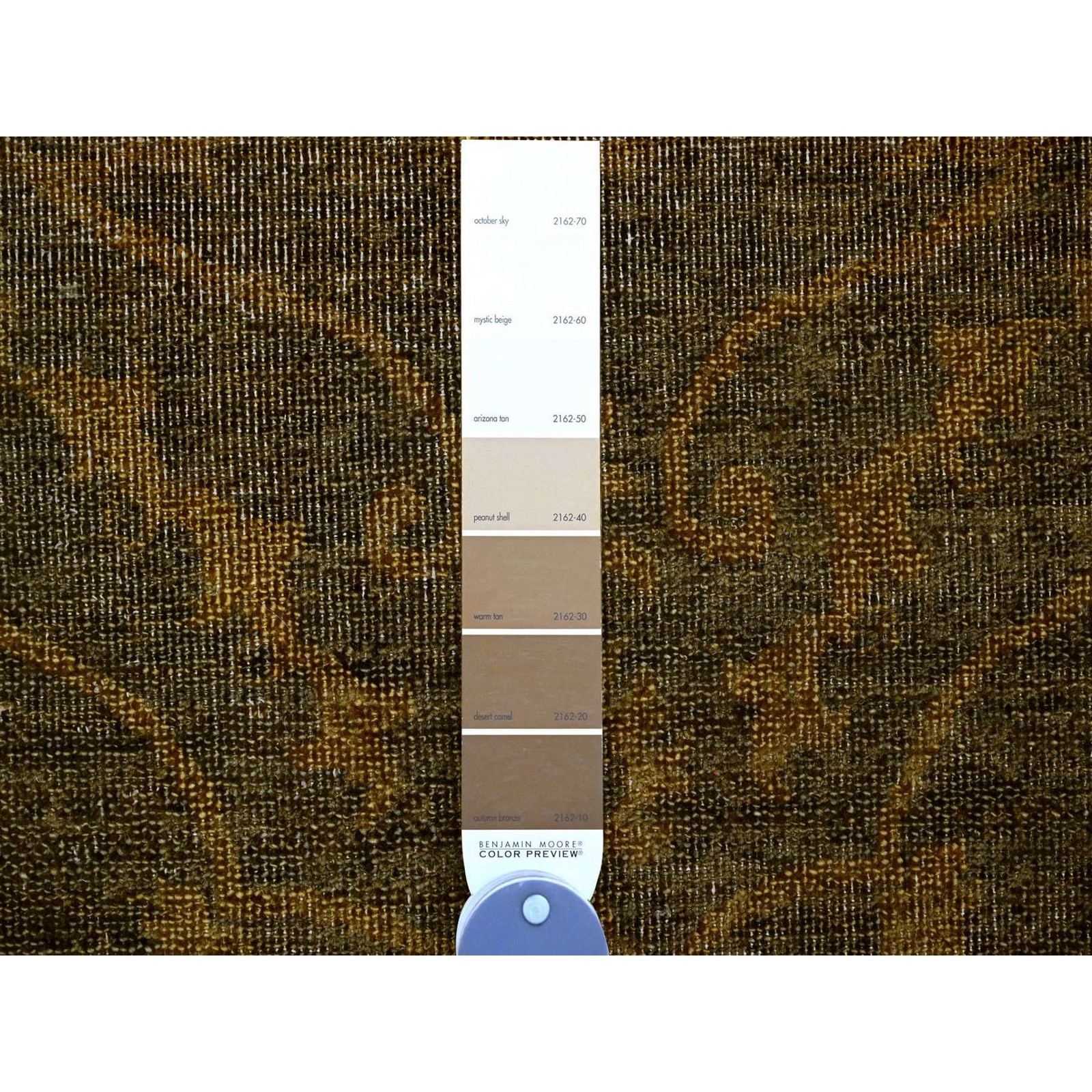 7’10″x10’1″ Brown Peshawar Ziegler Mahal Design Hand Knotted All Wool Rug R20838