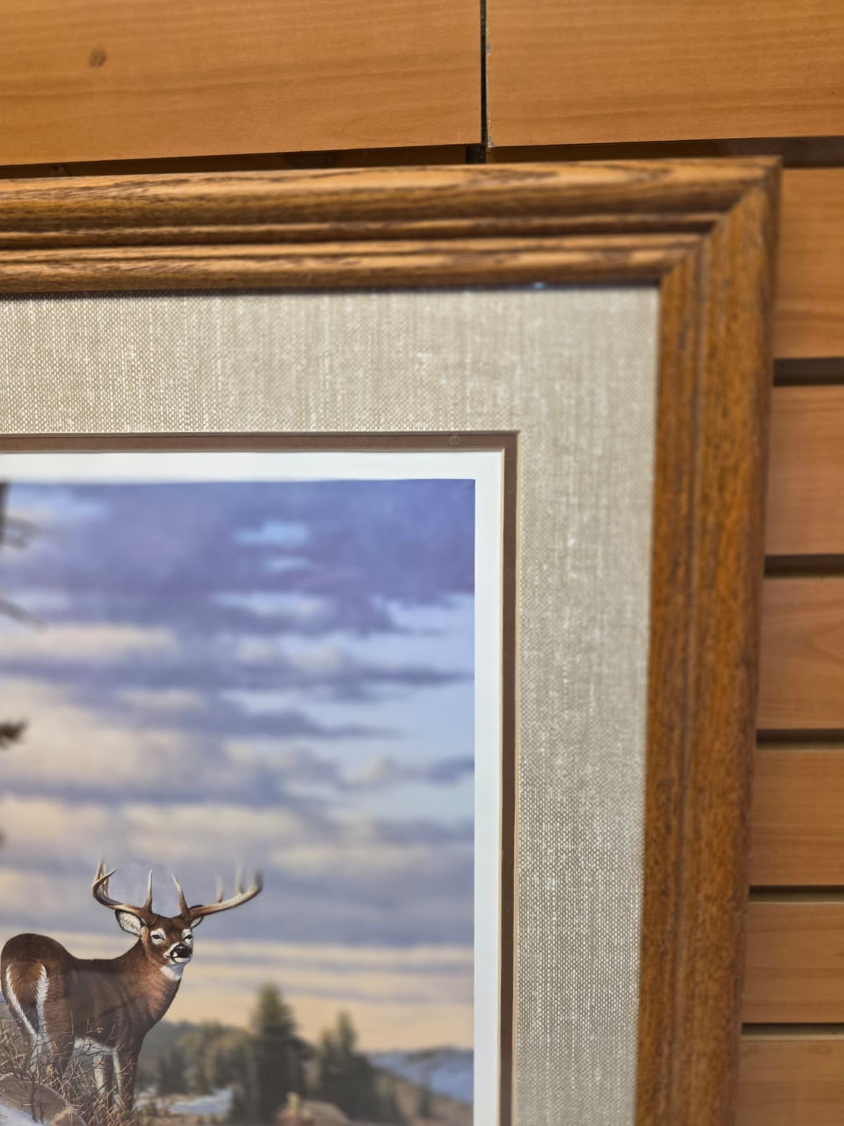 JTVPR4 – Freedom Reigns Framed 20×26