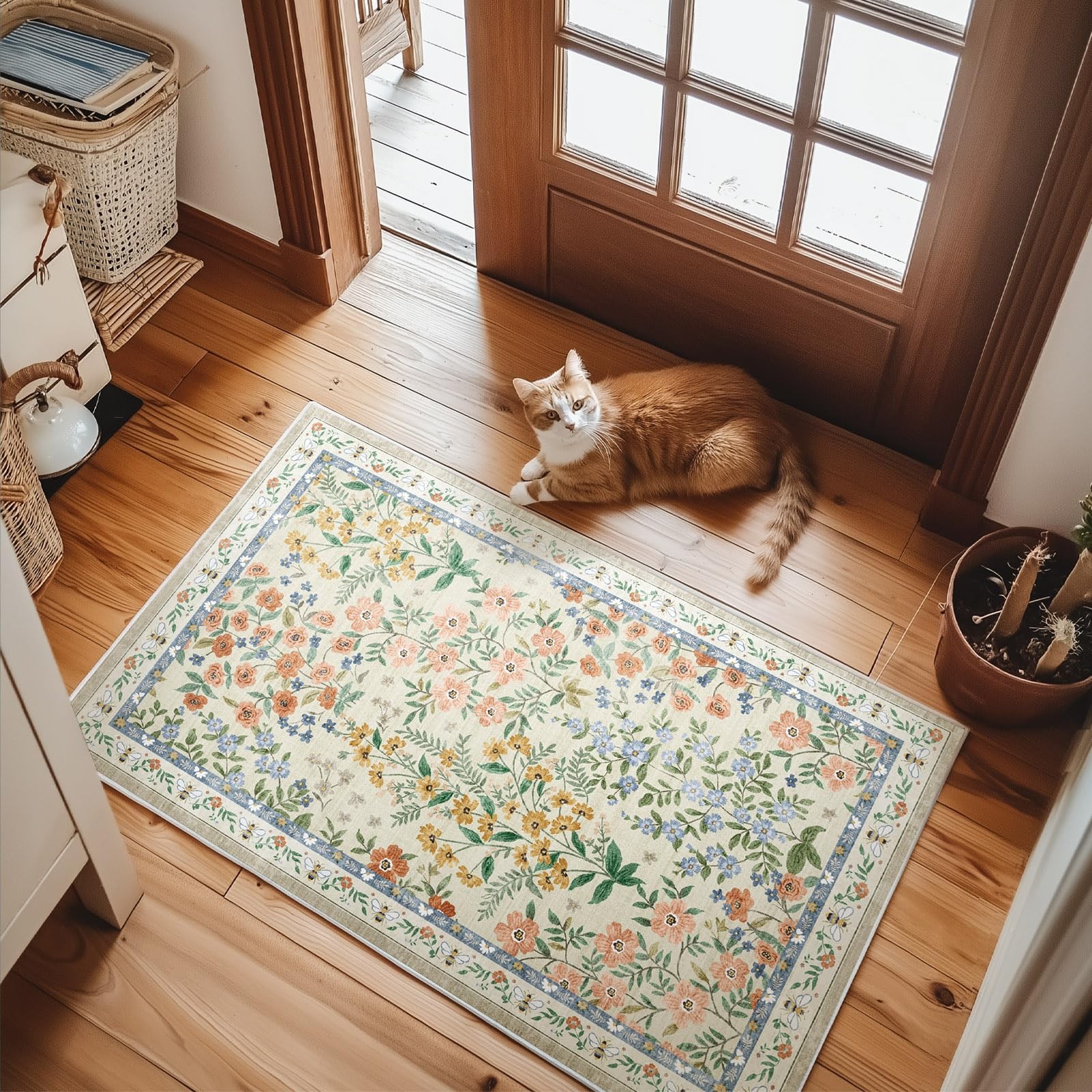 Machine Washable Area Rugs for Entryway: Door Mat Indoor Entrance 2X3 Small Thro