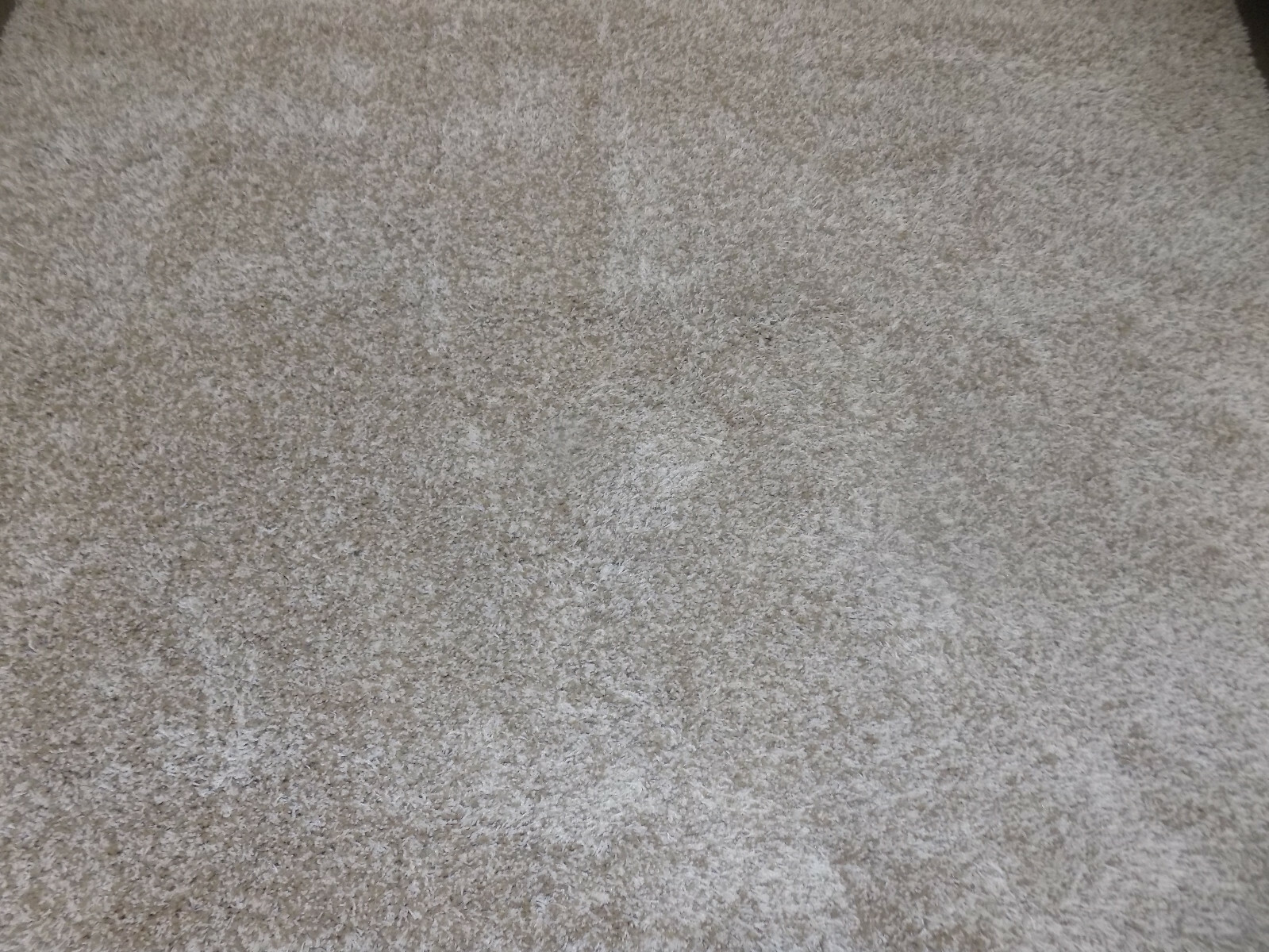 BEIGE 6′-7″ X 6′-7″ Damaged Rug Reduced Price 1172598180 SG151-1313-7SQ