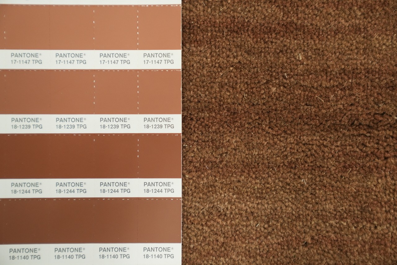Luxury Brown 4×6 Minimal Texture Hand-Knotted Wool Area Rug