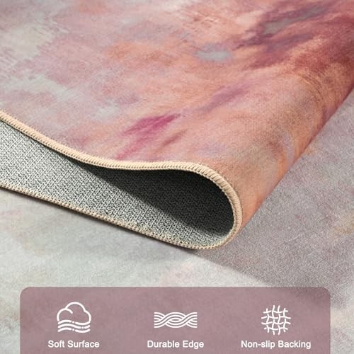 Washable 4×6 Area Rug for Living Room Bedroom, Soft Stain 4×6 Feet Pink