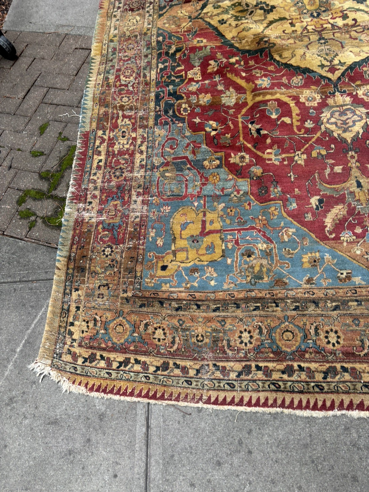 Noble House Collection 100% New Zealand Wool Rug made in India
