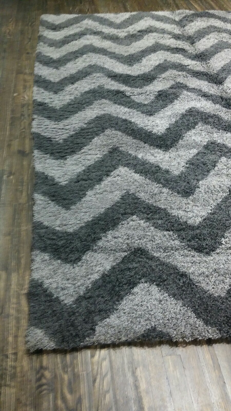 Home Dynamix Lexington Shaggy Frize 100% Heat set PP 7’10 x 9’10” FREE SHIPPING!
