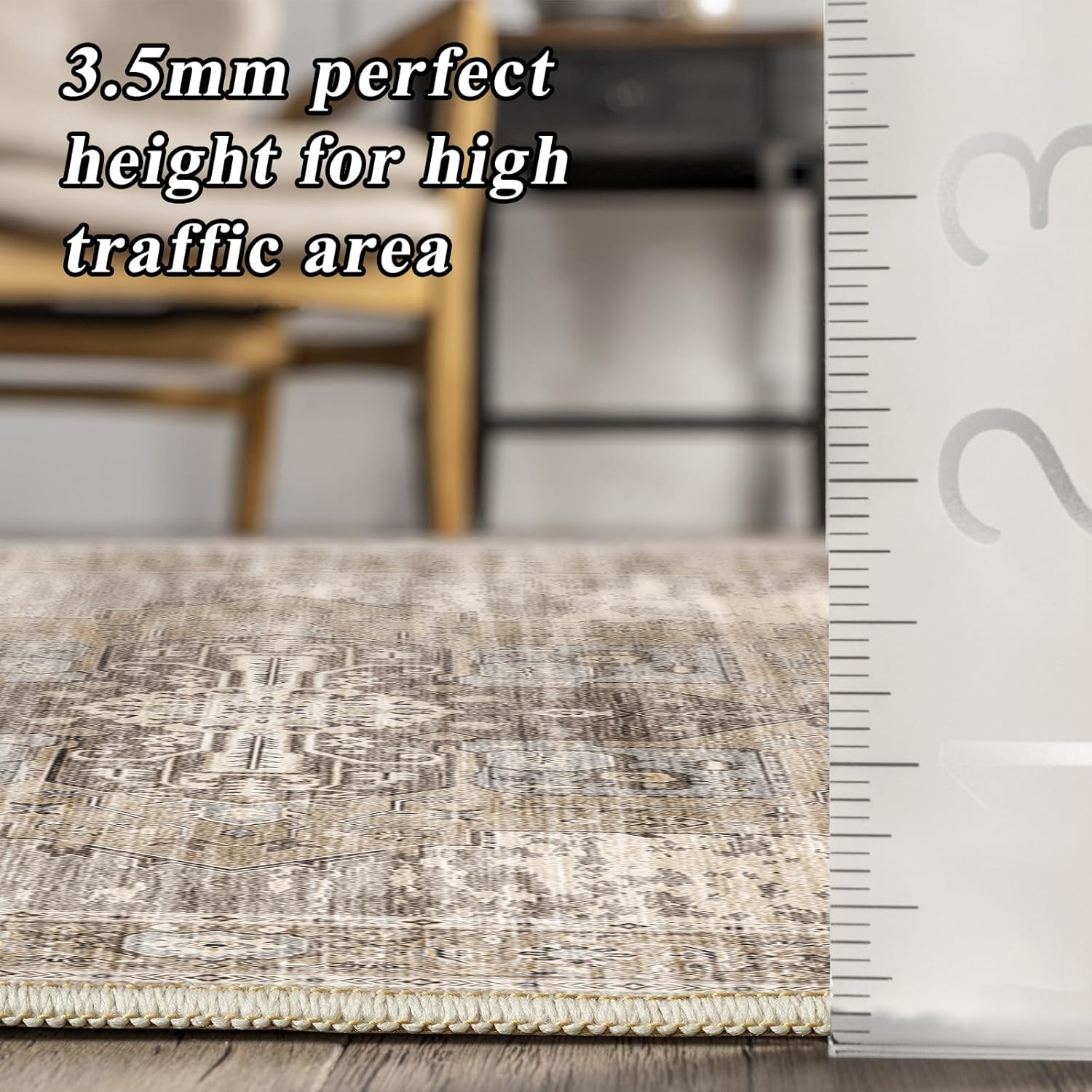 Living Room 10X14 Area Rugs – Washable Lightweight Area Rug Stain Resistant Carp