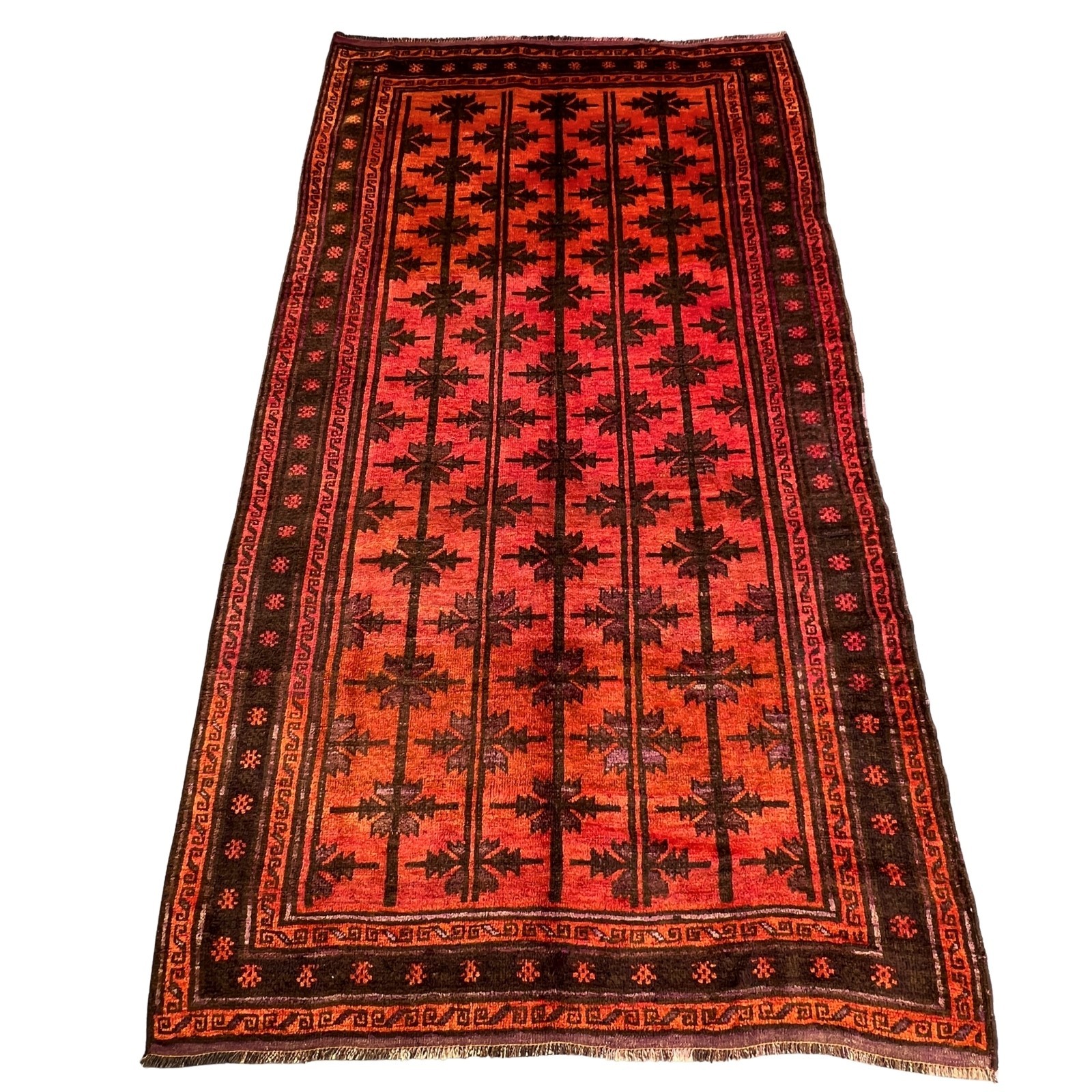 Hand Knotted Taimani Baluchi Rug – Wool Tribal Carpet, 5’5 x 9’9, Boho Decor