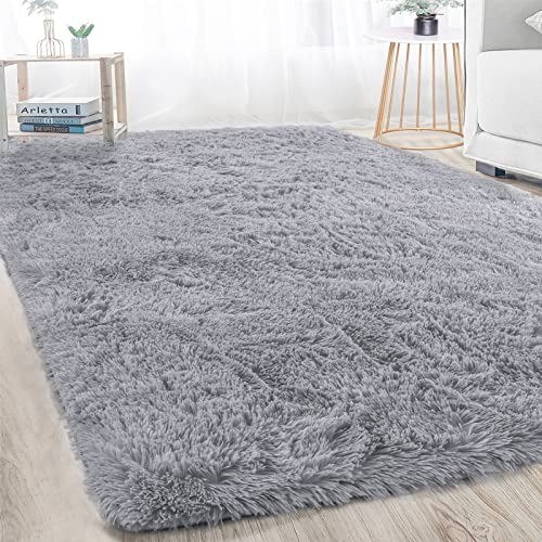 Plush Non-Slip Area Rug 2×3 Feet – Ideal for Living Room, Dorm & Kids Room