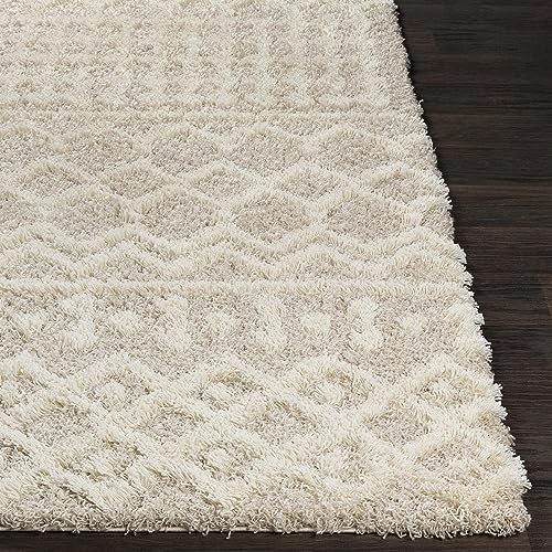 Artistic Weavers Hapsburg Moroccan Shag Runner Area Rug, 2’7″ x 7’3″, Beige