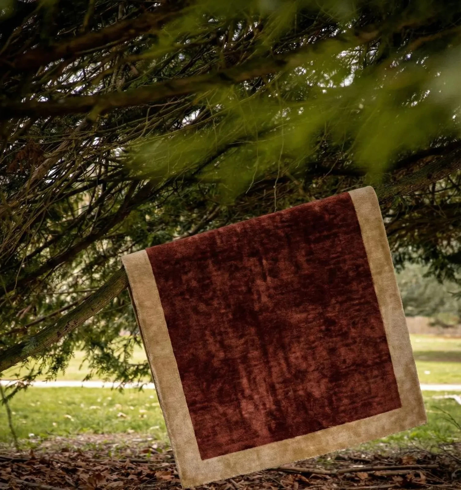 Luxury Hand Tufted Rug with Solid Color Design | Premium Cut Pile Silk Area Rug.
