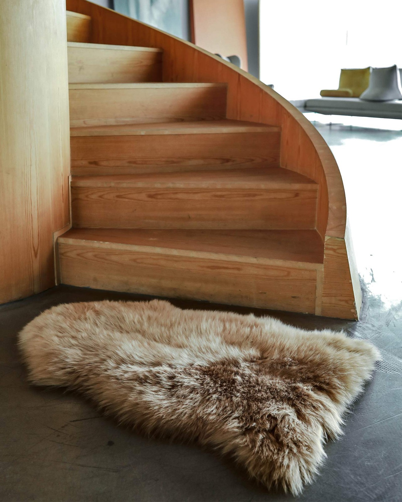 New Zealand Sheepskin Area Rug – Genuine Fluffy Wool, Multiple Sizes, Bedroom…
