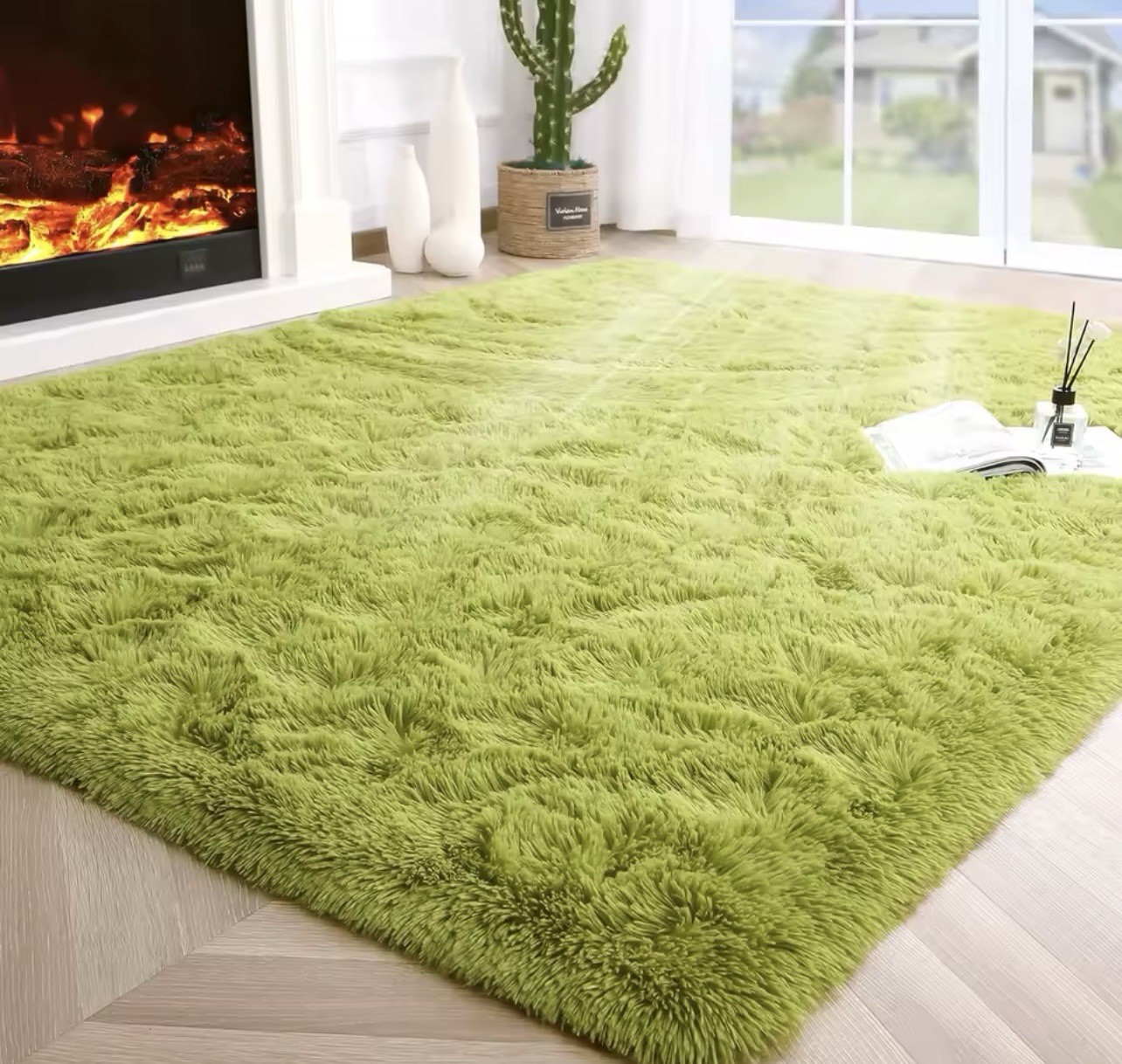 Area Rug for Living Room, 4X6 Non-Slip Green Rug Fluffy Soft Shag Rugs, Fuzzy Sh