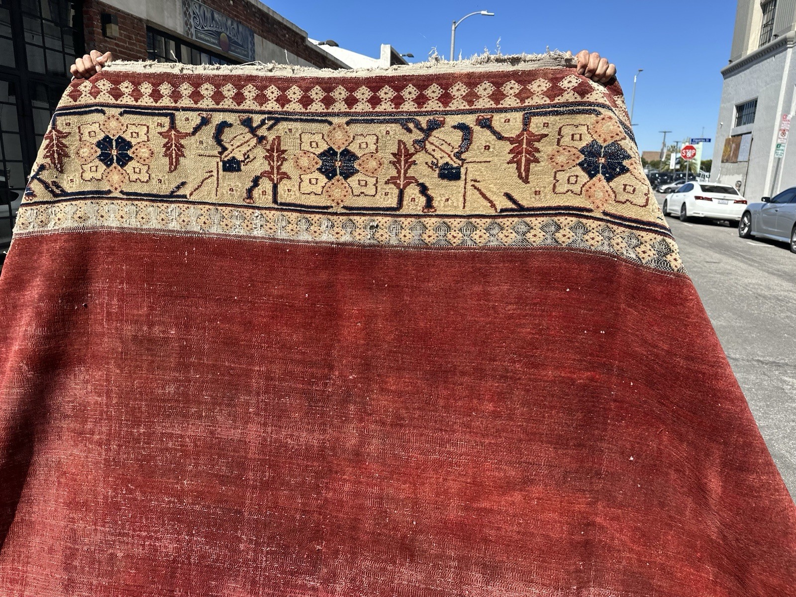 Auth: 19th C Antique Agra Rug Elegant Unique Sophisticated Decor Brick 12×17