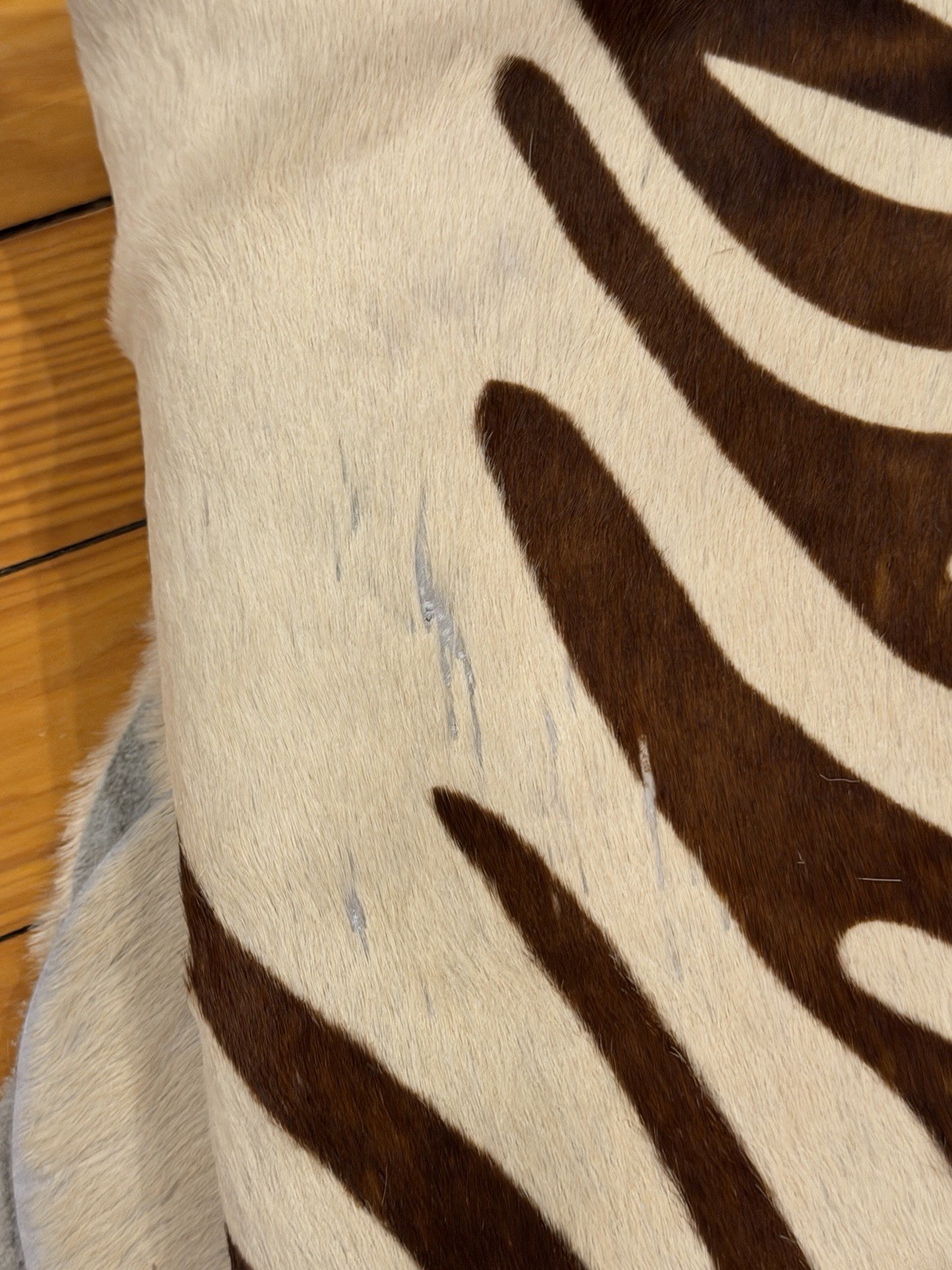 Linon Zebra Print On Cowhide Rug 77” X 30” Brazil EUC
