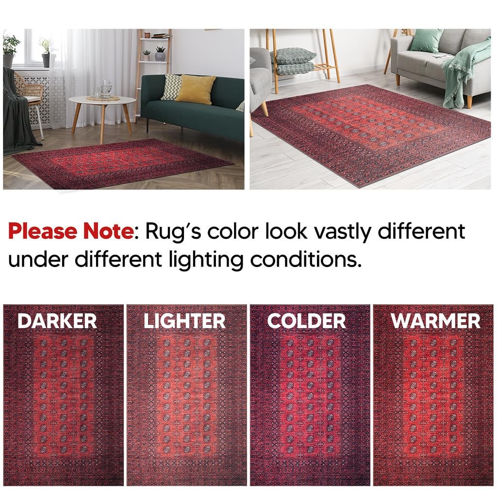 3×5 Rug – Machine Washable Entry Rug with Non-Slip Backing, Ideal for Enteryw…