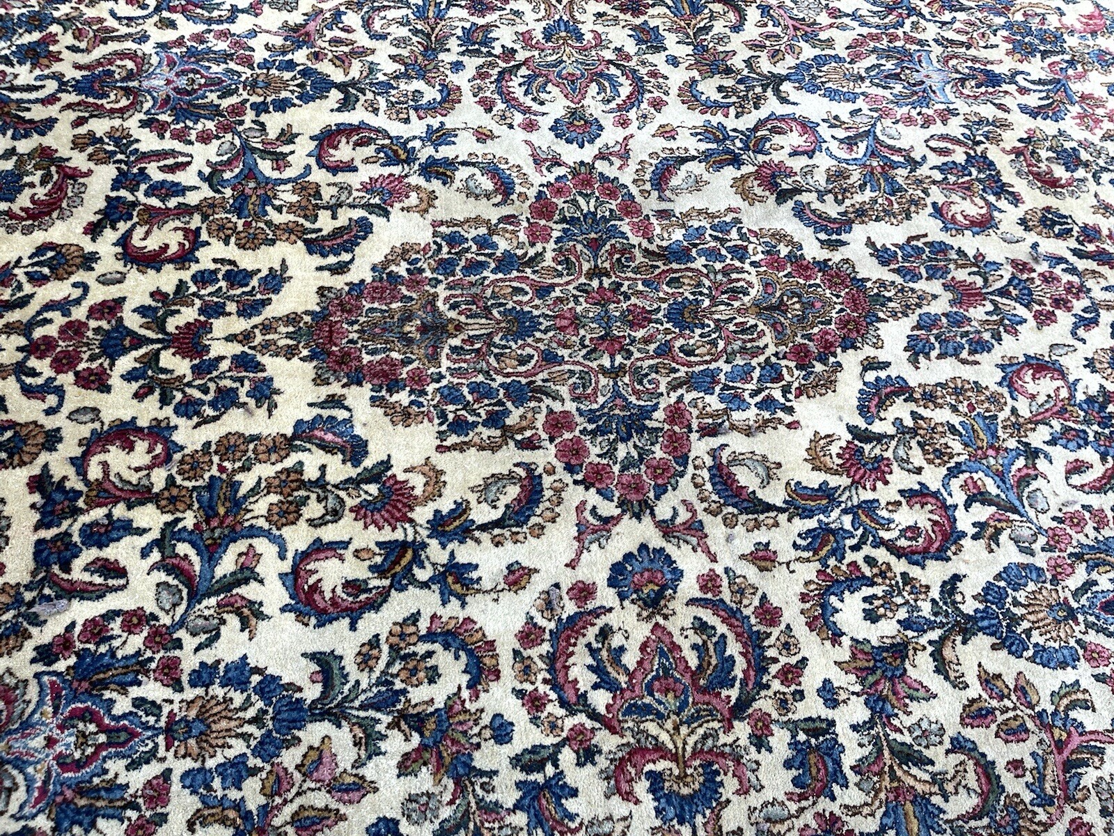 Auth: 20’s Antique Lavar P e R Sa. Ivory 12×19 Botanical Beauty
