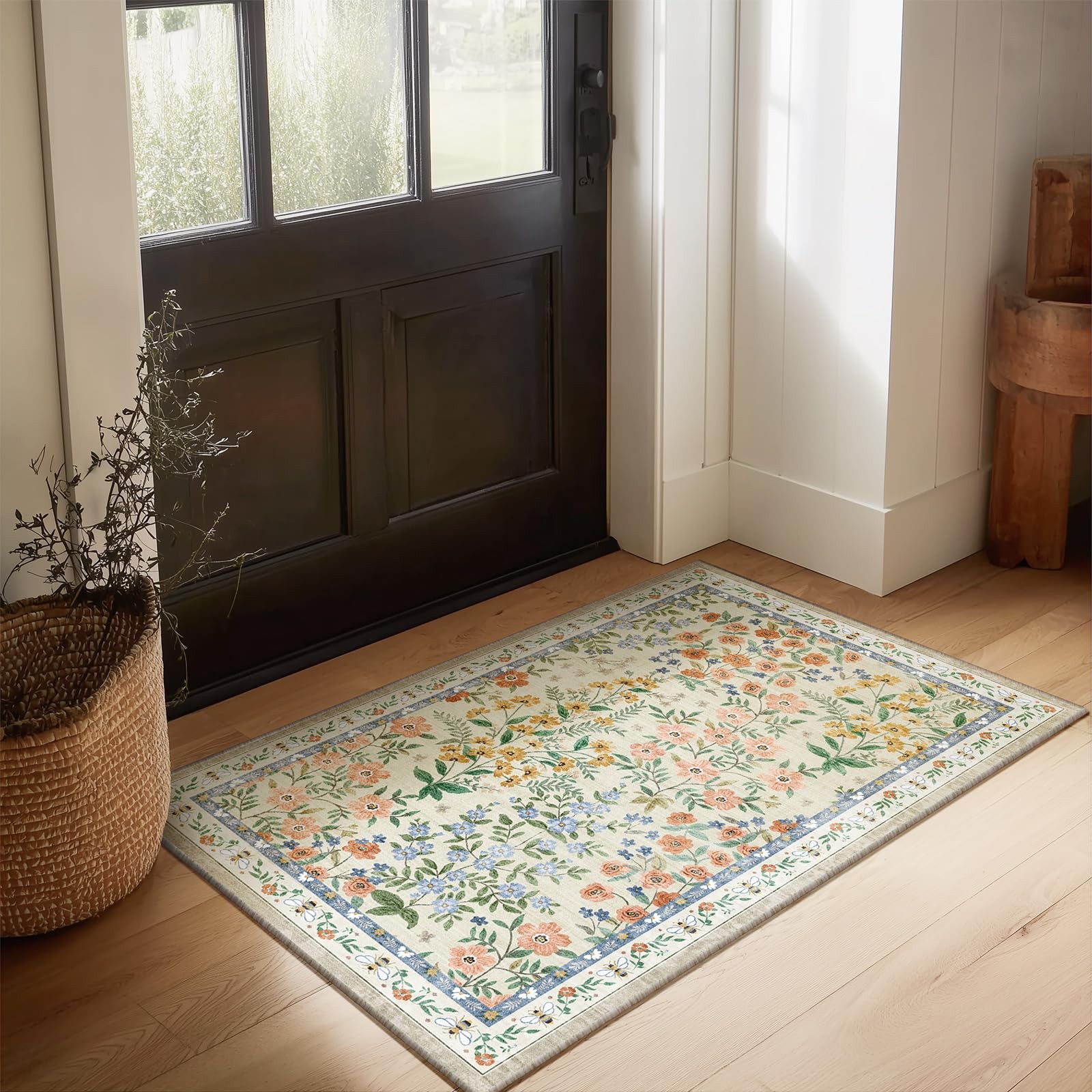 Machine Washable Area Rugs for Entryway: Door Mat Indoor Entrance 2X3 Small Thro