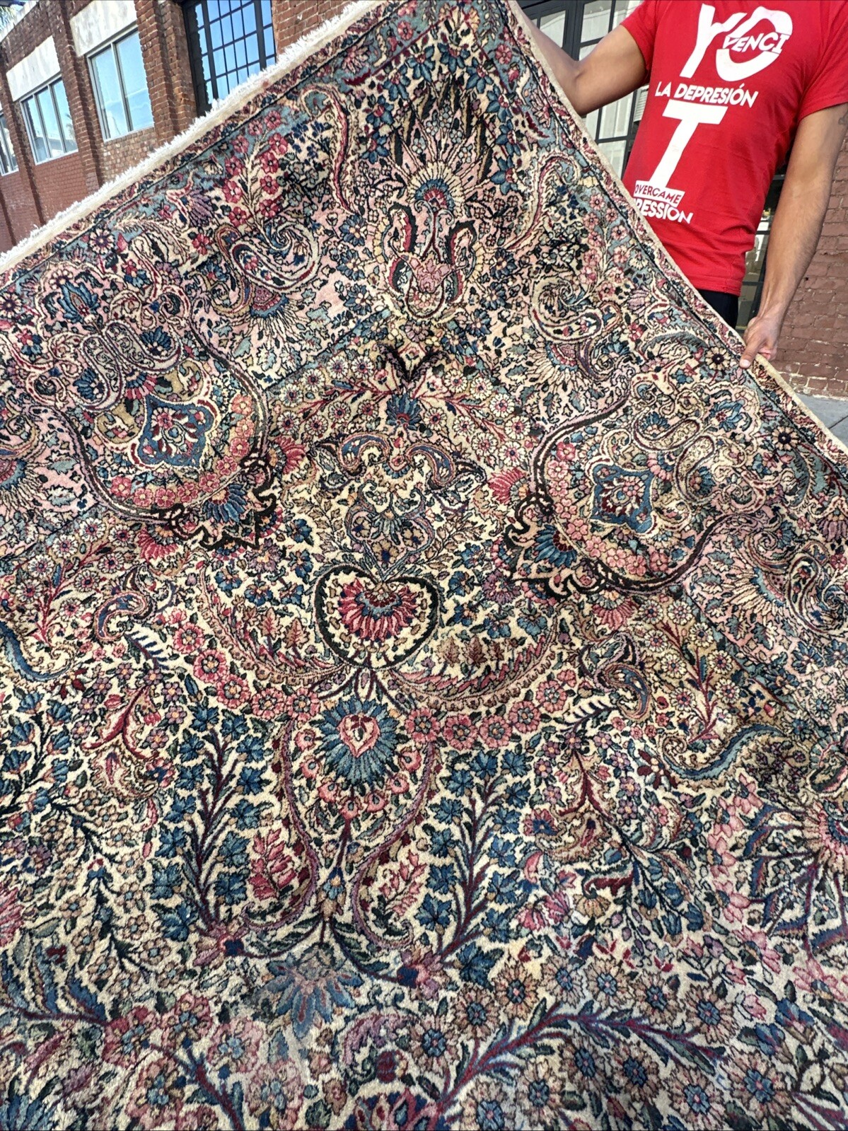 Auth: Antique Lavar Kirman Rug Botanical Beauty Plush Buttery 11×21