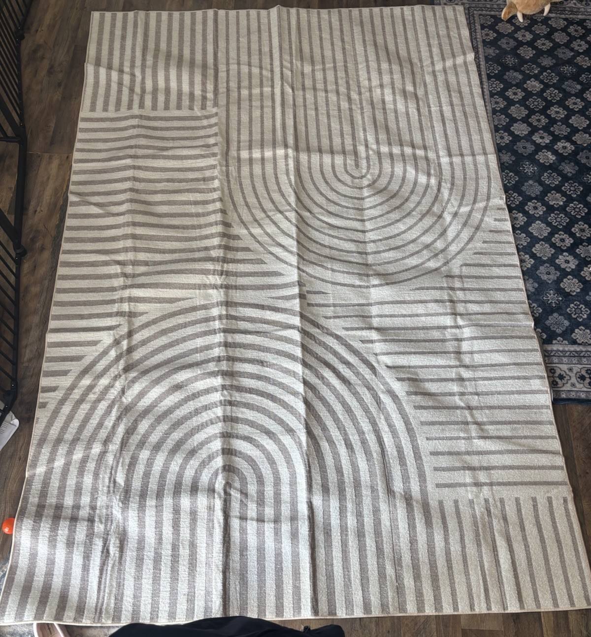 Indoor Living Area Rug Cream And Tan Swirl 8ft 10 Inch Long By 5ft 10.5 Inch