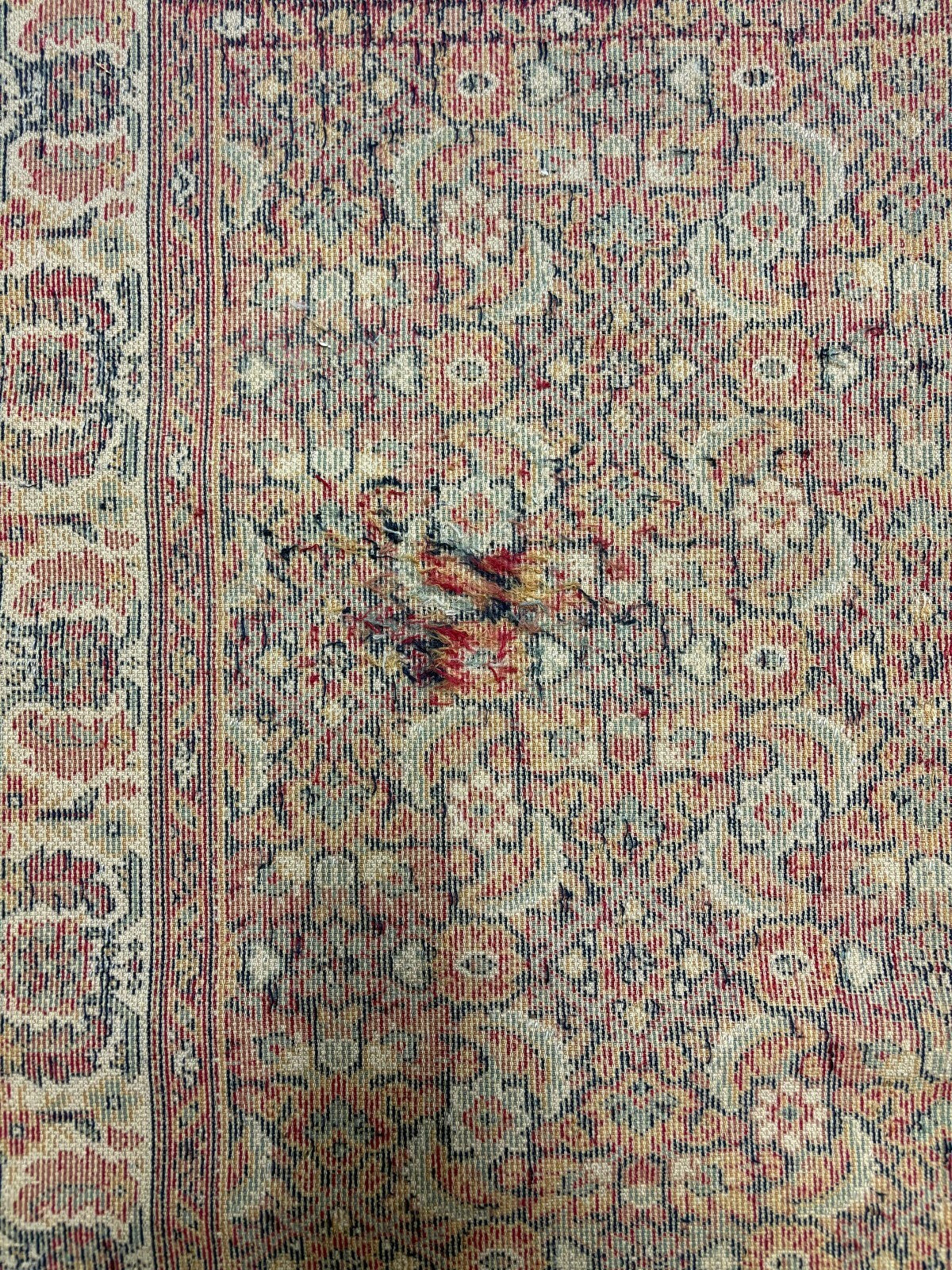Samarkand Rug 4×6 / Feraghan No 891 / 100% Worsted Wool / Made in Belgium