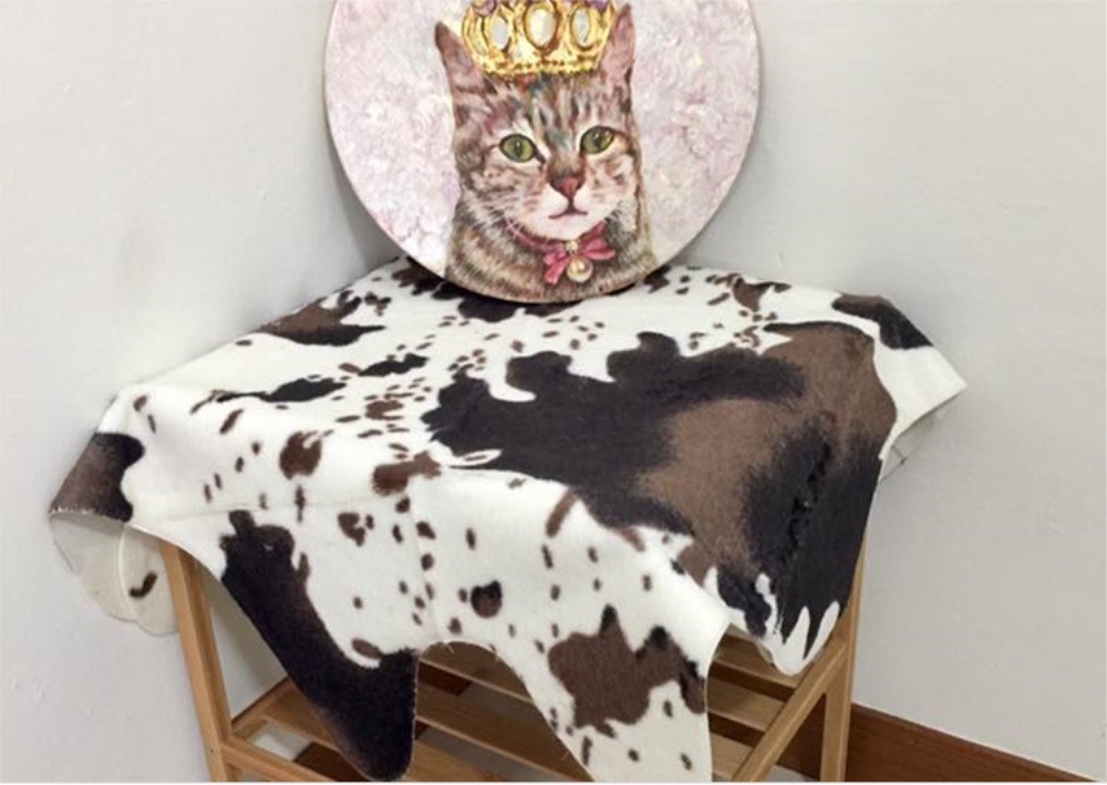 Rug Print Rawhide Brown Faux Cowhide Bedroom Living Carpet Throw Cow Animal Fur