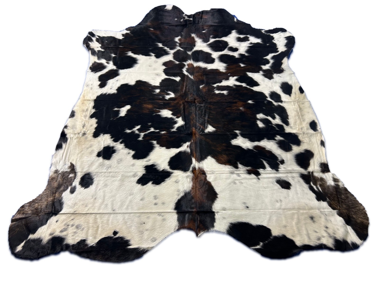 Tricolor Cowhide Rug Size: 7×7 ft D-389