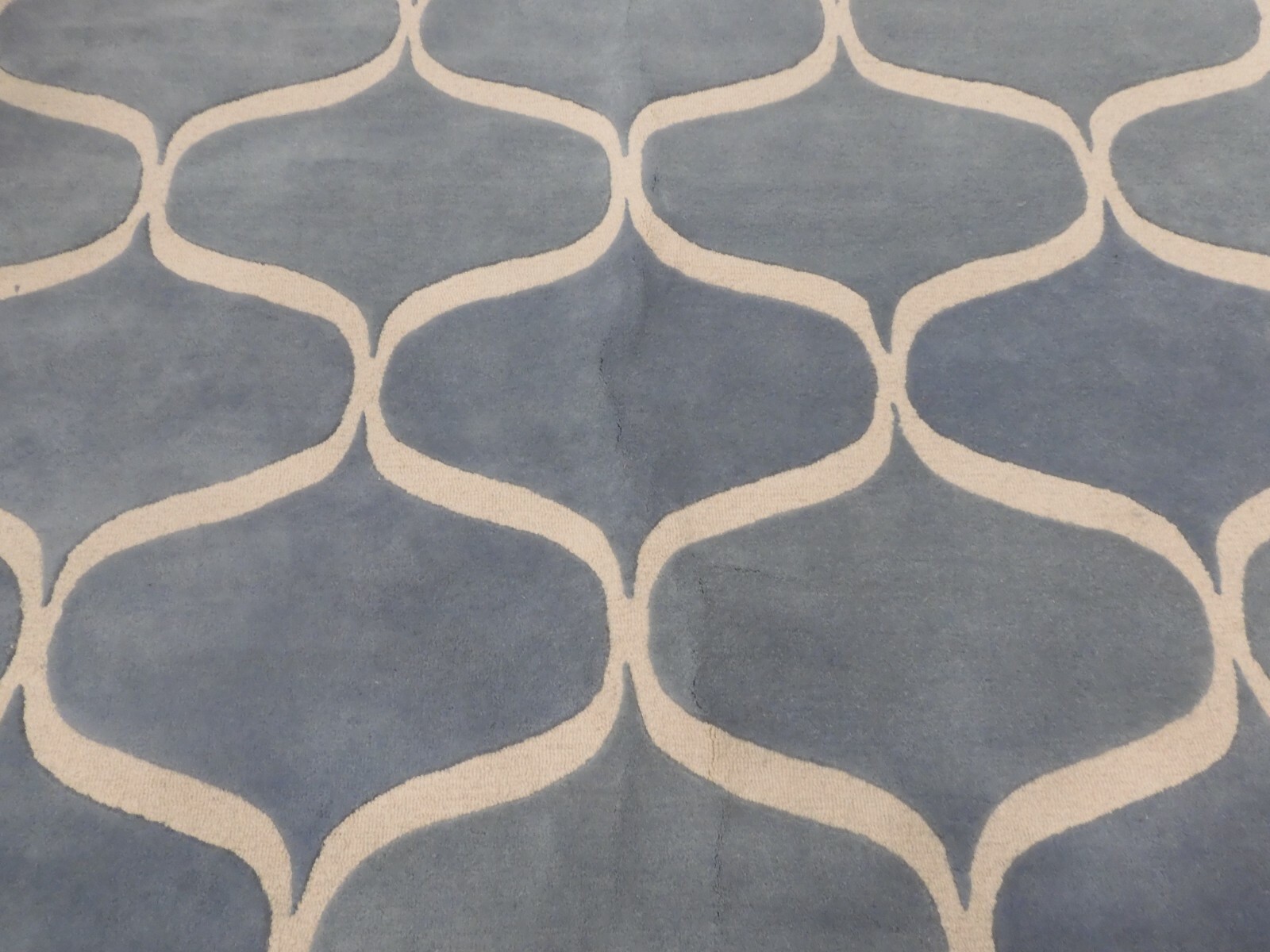 LIGHT BLUE / IVORY 8′ X 10′ Damaged Rug, Reduced Price 1172625788 CAM730B-8