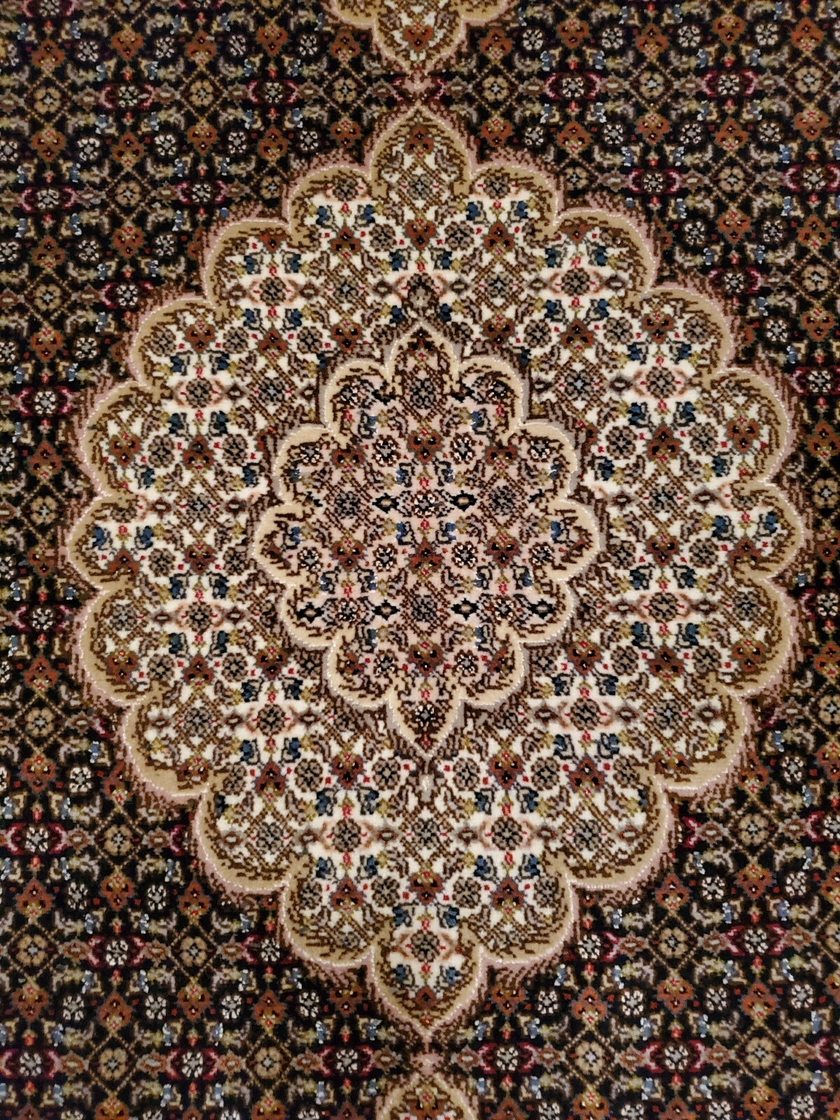 REDUCED!! Wool and silk Oriental Carpet Collectors select