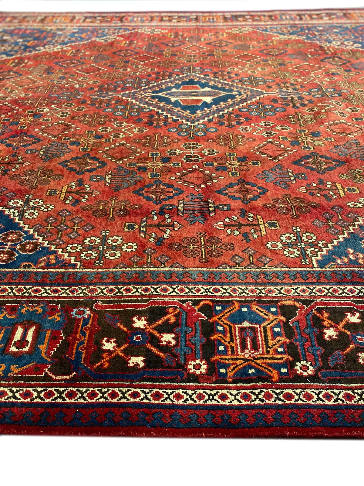 10 x 13.6 Geometric Traditional Irran Perrsian Joshagaan Rug #F-6985