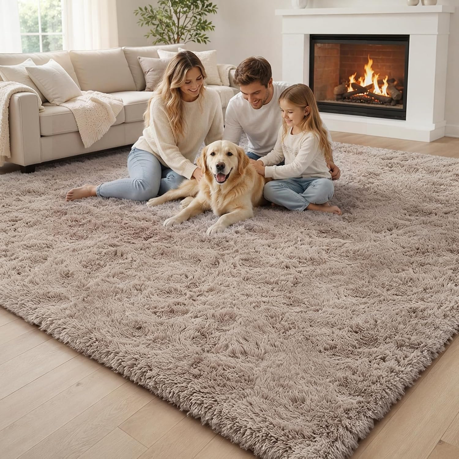 8X10 Area Rugs for Living Room Bedroom, Large Area Rug Shaggy Carpet Soft Plush