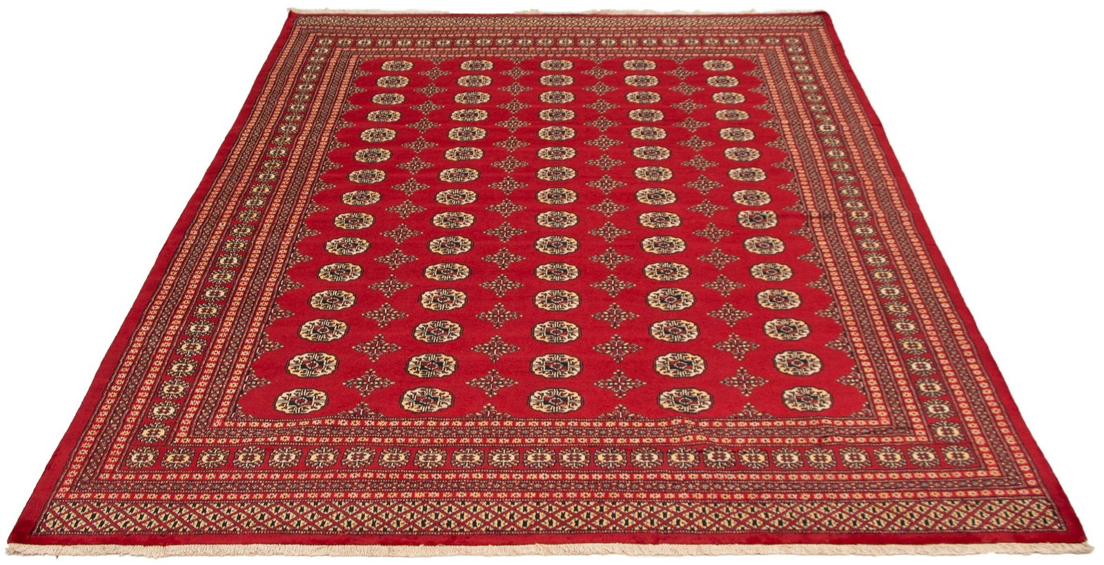 Traditional Hand Knotted Oriental Area Rug 8’2″ x 9’10” Wool Carpet