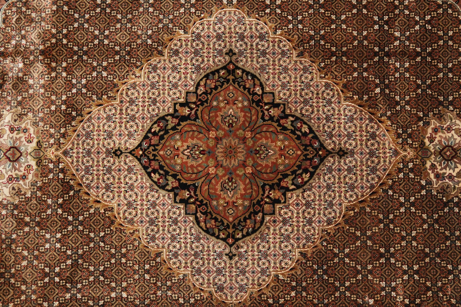 8 x 10 Dark Chocolate Brown Quality Area Rug Tabriiz Mahii Wool and Silk #F-4460
