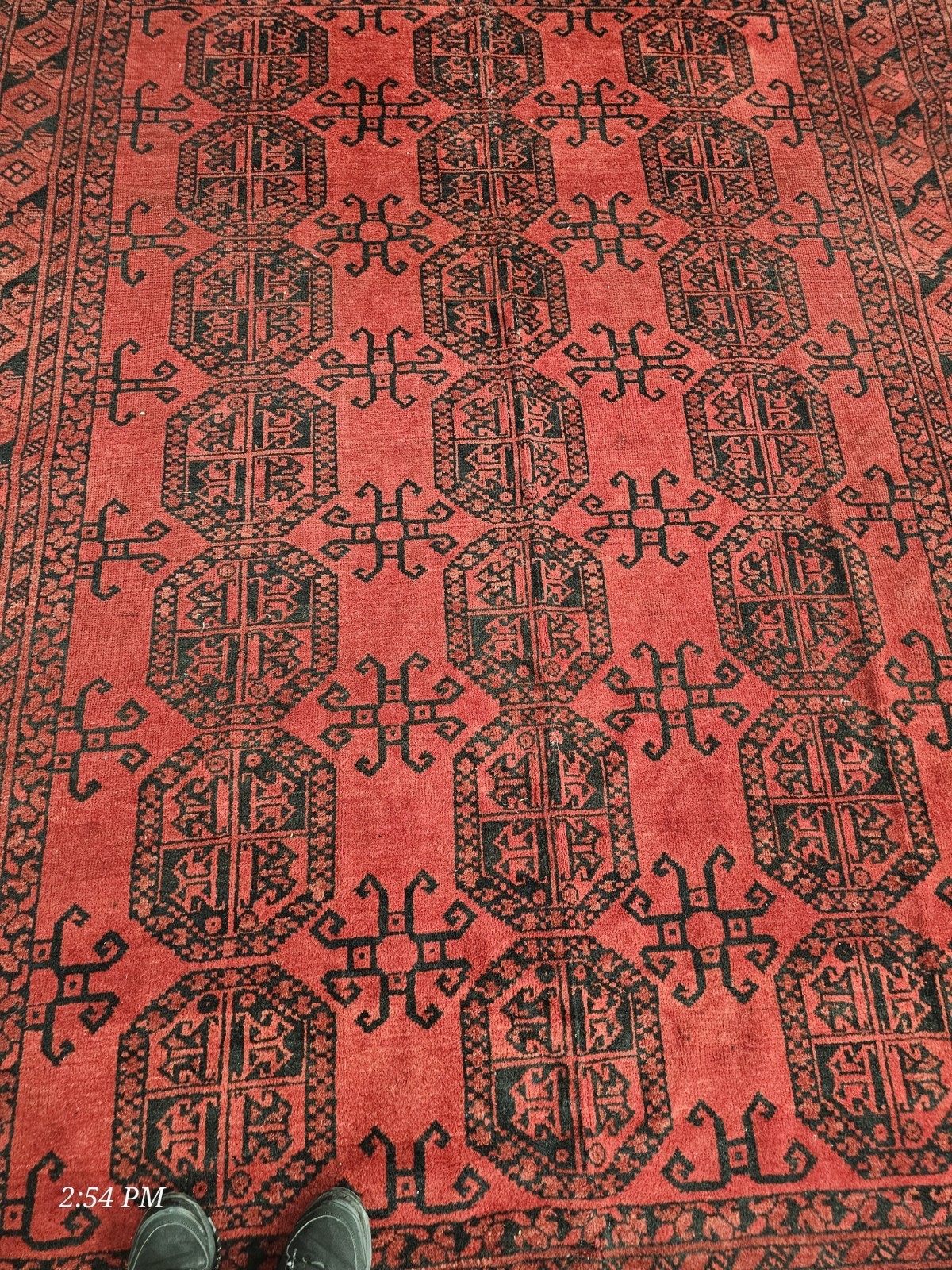 TURKMEN BUKHARA – TEKKE RUG Rug 6×9
