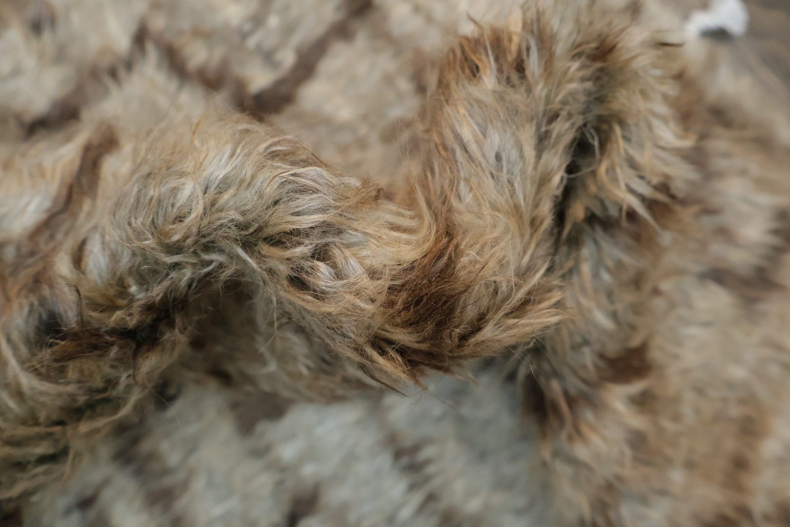 All-Over Shaggy Moroccan Area Rug Room Size Hand-made Berber Plush Carpet 6×9