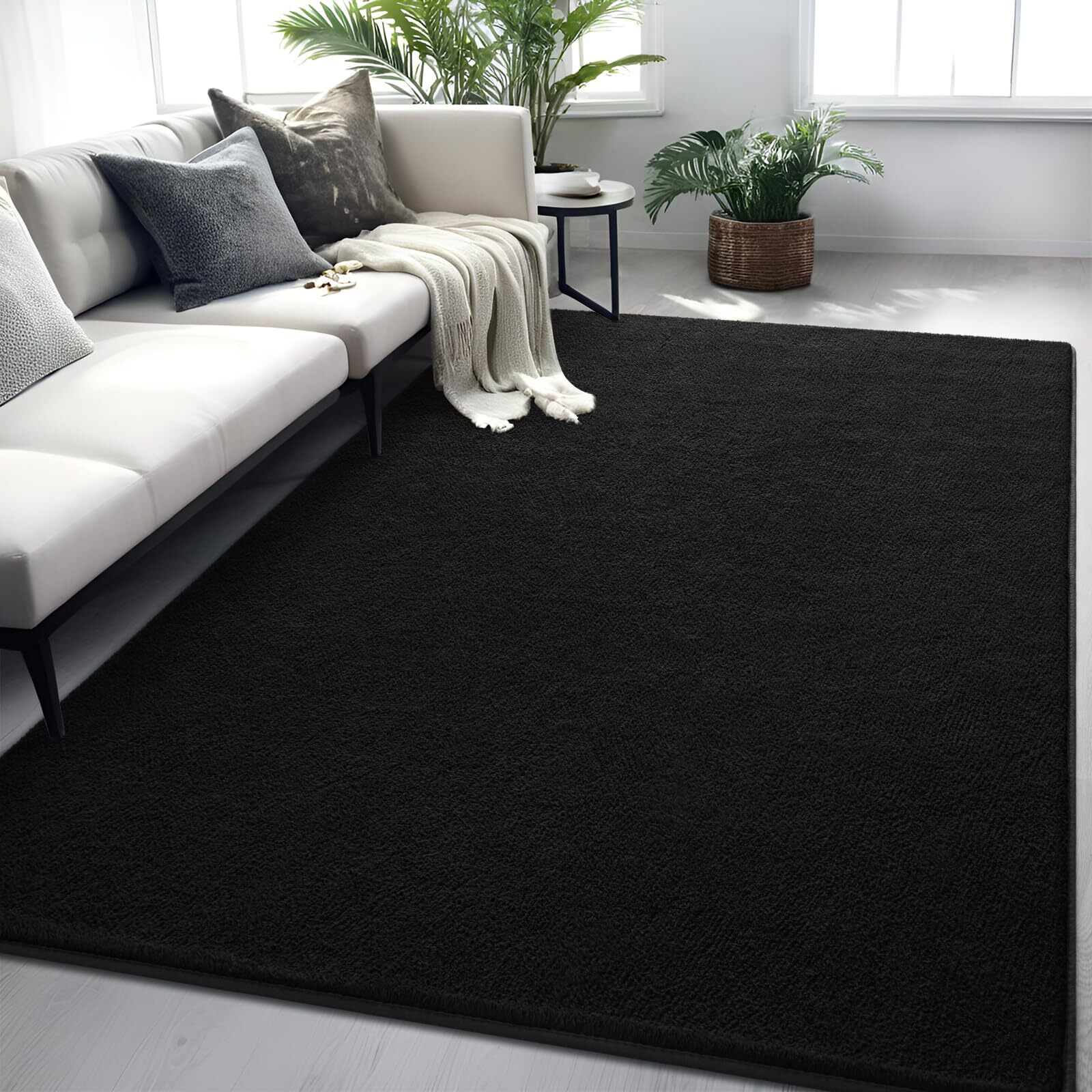 Black Area Rug 4x6ft Washable Memory Foam Modern Minimalist Bedroom Living