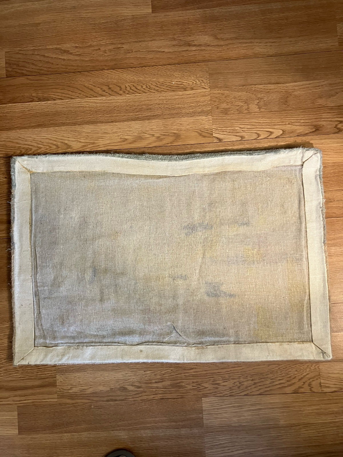 Area Rug Seagull Bird Animal Pattern Rectangle 23 x 32 in Beige Gray