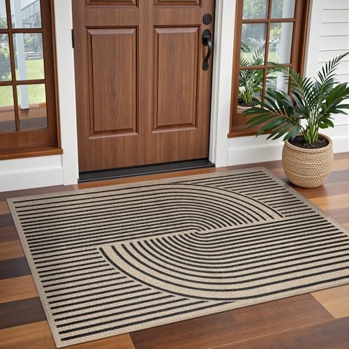 Easy Jute 3×5 Outdoor Rug for Living Room,Non-Slip Thin Rainbow 3x5ft Black