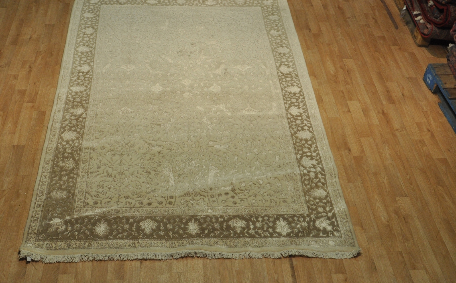 6×9 Plush Soft Raised Viscose Pile Wool & Silk Transitional Rug B-78842